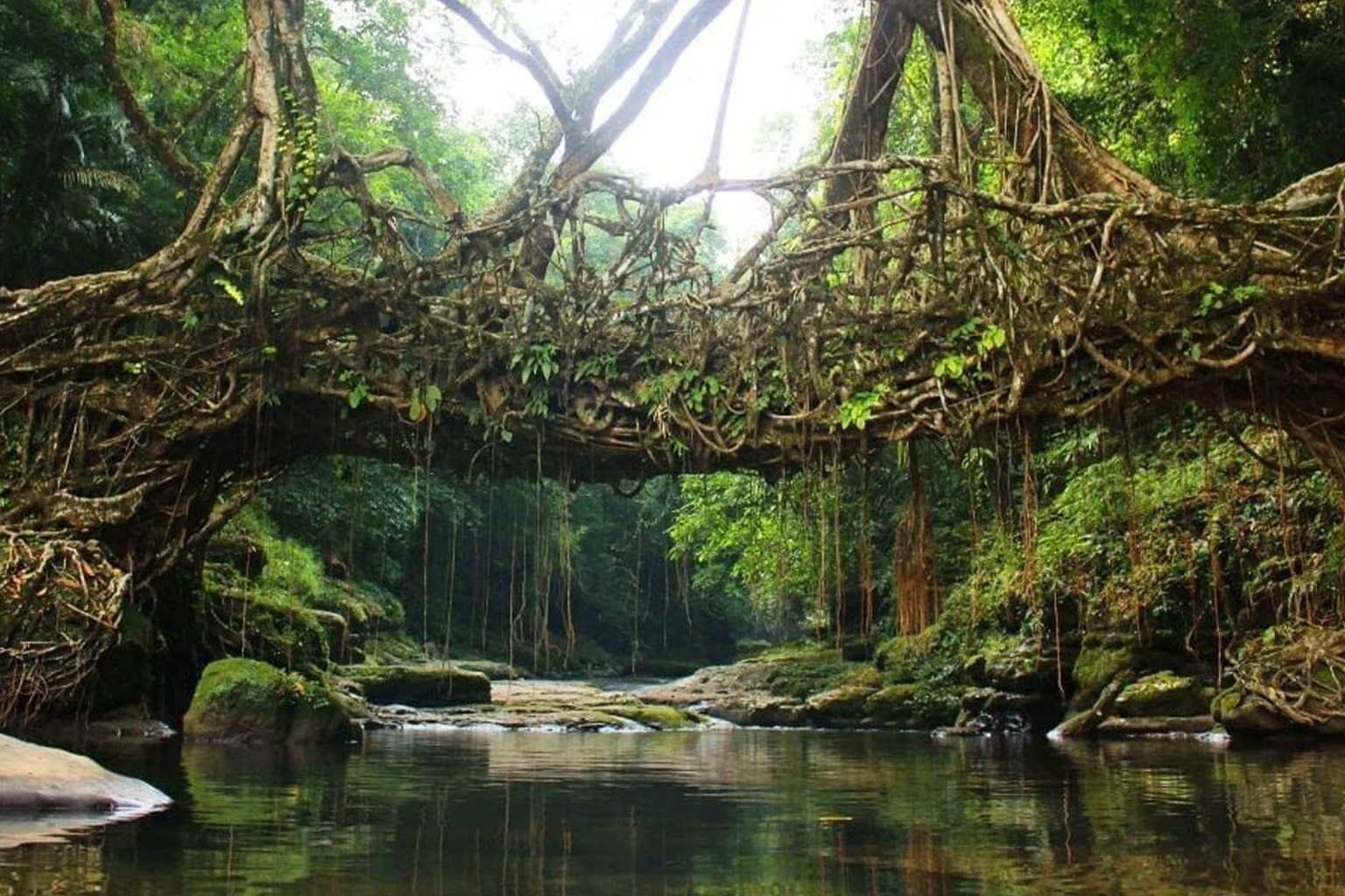 Meghalaya: A 4-Day Journey Through Cloud Country